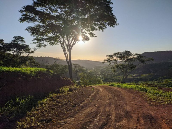 Imagem Chácara à Venda, 1.960 m² Imagem Chácara à Venda, 1.960 m²