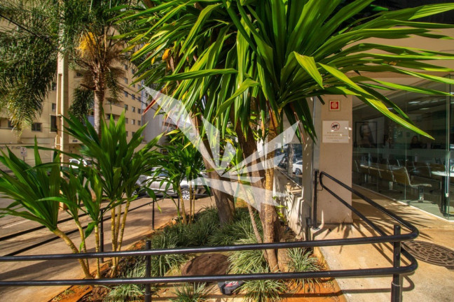 Imagem Imóvel à Venda, 135 m² em Norte (águas Claras) - Brasília Imagem Imóvel à Venda, 135 m² em Norte (águas Claras) - Brasília