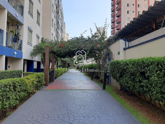 Imagem Apartamento com 3 Quartos à Venda, 62 m² em Jardim São Savério - São Paulo