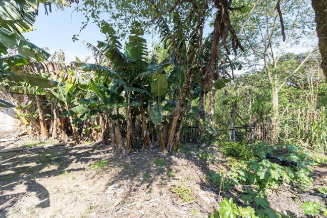 Imagem Terreno à Venda, 345 m² em Chapéu Do Sol - Porto Alegre Imagem Terreno à Venda, 345 m² em Chapéu Do Sol - Porto Alegre