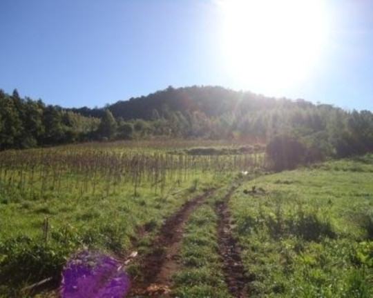 Imagem Terreno à Venda, 5 m² em Linha Nova - Linha Nova Imagem Terreno à Venda, 5 m² em Linha Nova - Linha Nova