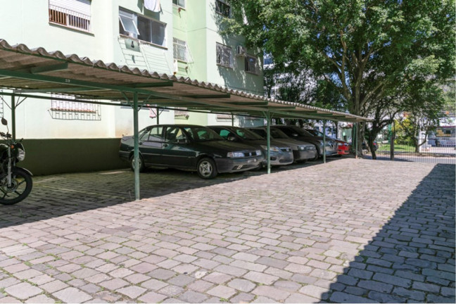Imagem Imóvel com 3 Quartos à Venda, em Jardim Planalto - Porto Alegre Imagem Imóvel com 3 Quartos à Venda, em Jardim Planalto - Porto Alegre