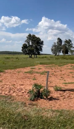 Imagem Imóvel com 3 Quartos à Venda, 1.219 m² em Zona Rural - Amambaí