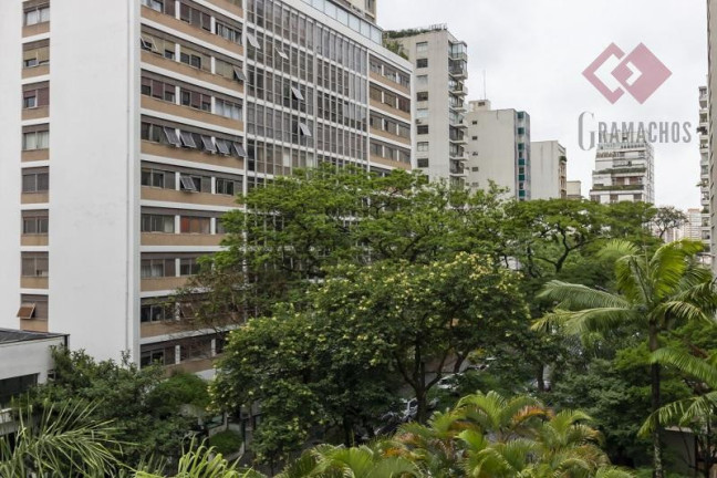 Imagem Apartamento com 3 Quartos à Venda, 270 m² em Higienópolis - São Paulo