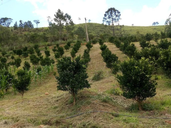 Imagem Imóvel com 2 Quartos à Venda, 51.700 m² em Centro - Cerro Azul