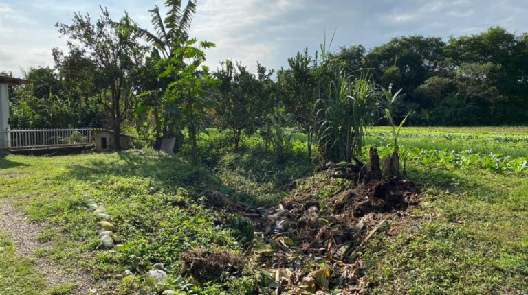 Imagem Imóvel com 3 Quartos à Venda, 12.000 m² em Cachoeira - Antonina