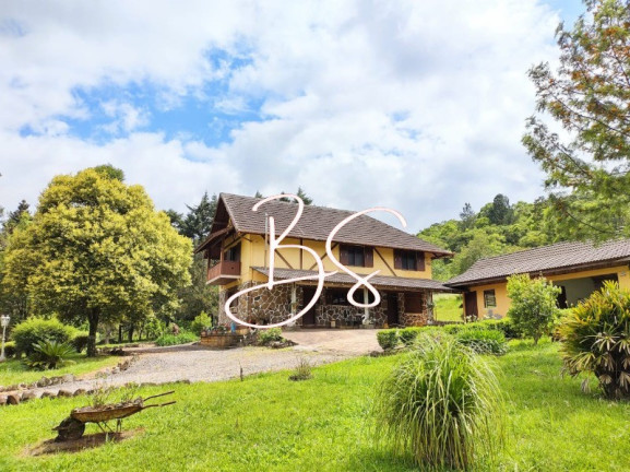 Imagem Imóvel à Venda, 350.000 m² em Linha 28 - Gramado Imagem Imóvel à Venda, 350.000 m² em Linha 28 - Gramado