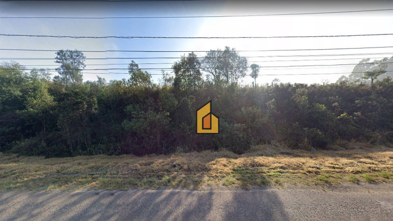 Terreno à Venda, 43.500 m² em Estação - Araucária