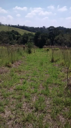 Imagem Terreno à Venda, 10.000 m² em Morro Alto - Itapetininga Imagem Terreno à Venda, 10.000 m² em Morro Alto - Itapetininga