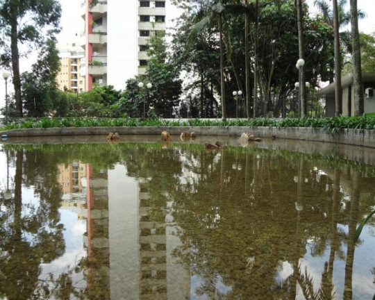 Imagem Apartamento com 4 Quartos à Venda, 440 m² em Morumbi - São Paulo Imagem Apartamento com 4 Quartos à Venda, 440 m² em Morumbi - São Paulo