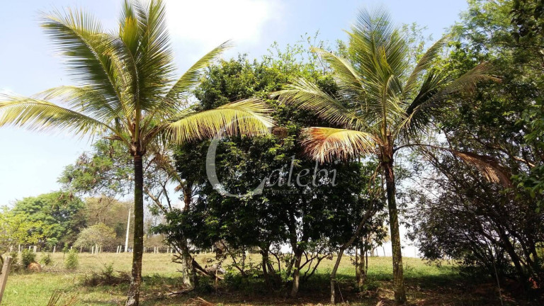 Imagem Chácara com 3 Quartos à Venda, 43.000 m² em Artur Nogueira