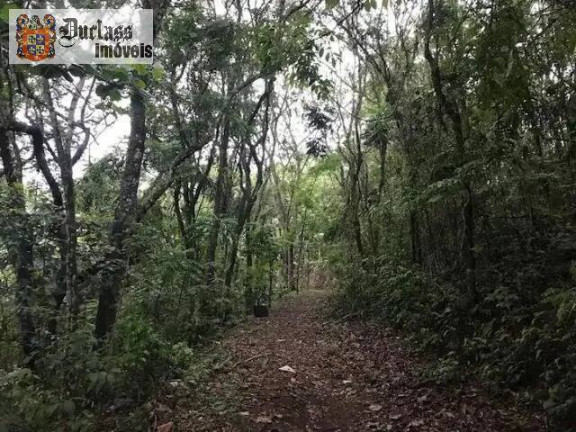Imagem Chácara com 6 Quartos à Venda, 235 m² em Roseira - Mairiporã Imagem Chácara com 6 Quartos à Venda, 235 m² em Roseira - Mairiporã