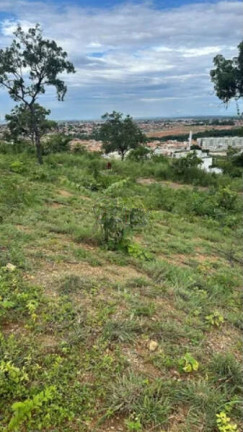 Terreno à Venda, 250 m² em Mirante Do Sol - Montes Claros