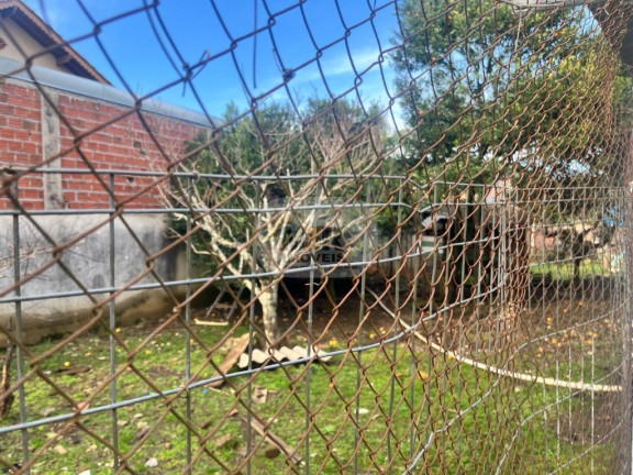 Imagem Casa com 3 Quartos à Venda, 100 m² em Vale Verde - Nova Petrópolis