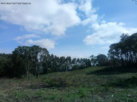 Imagem Terreno à Venda, 4 m² em Pinhal Alto - Nova Petrópolis Imagem Terreno à Venda, 4 m² em Pinhal Alto - Nova Petrópolis