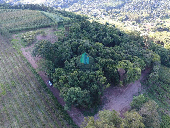 Imagem Terreno à Venda, 20.000 m² em Linha Palmeiro - Pinto Bandeira Imagem Terreno à Venda, 20.000 m² em Linha Palmeiro - Pinto Bandeira