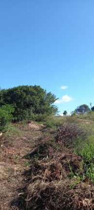Imagem Terreno à Venda, em Sibauma - Tibau Do Sul Imagem Terreno à Venda, em Sibauma - Tibau Do Sul