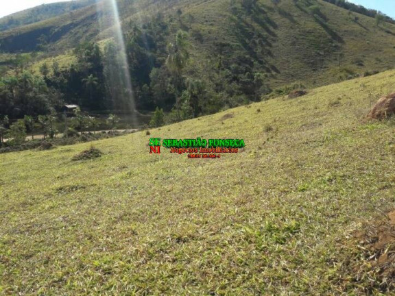 Chácara à Venda, 20.000 m² em São Francisco Xavier - São José Dos Campos