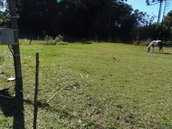 Terreno à Venda, 515 m² em Bateias - Campo Largo