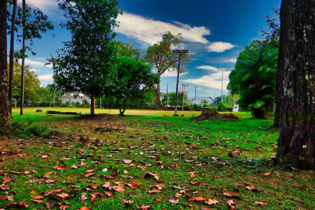 Imagem Terreno à Venda, 48 m² em Flores - Manaus Imagem Terreno à Venda, 48 m² em Flores - Manaus