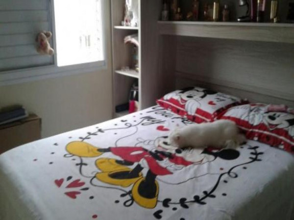 Imagem Apartamento com 3 Quartos à Venda, 61 m² em Vila Alzira - Santo André Imagem Apartamento com 3 Quartos à Venda, 61 m² em Vila Alzira - Santo André