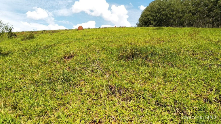 Imagem Chácara à Venda, 55.189 m² em Registro - Taubaté Imagem Chácara à Venda, 55.189 m² em Registro - Taubaté