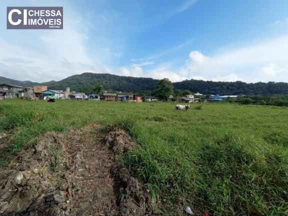 Imagem Terreno à Venda, 33.367 m² em Espinheiros - Itajaí