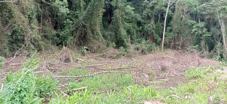 Terreno em Condomínio à Venda, 484 m² em Massaguaçu - Caraguatatuba