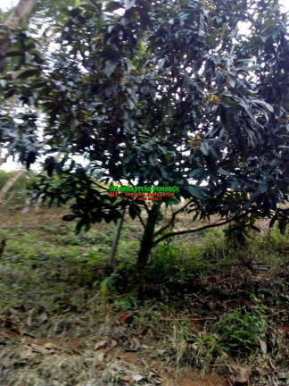 Imagem Chácara à Venda, 2.000 m² em Sob. Consulta - São José Dos Campos Imagem Chácara à Venda, 2.000 m² em Sob. Consulta - São José Dos Campos
