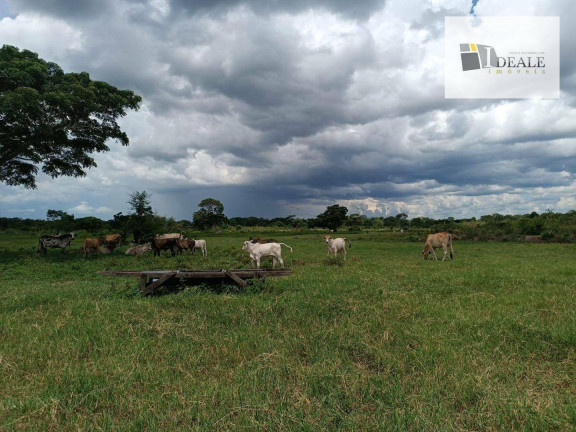 Imagem Fazenda à Venda, 590 m² em Zona Rural - Poconé