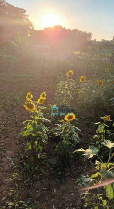 Imagem Fazenda à Venda, 180 m² em Glorinha - Glorinha Imagem Fazenda à Venda, 180 m² em Glorinha - Glorinha
