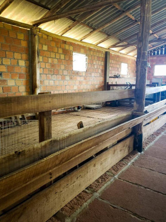 Imagem Chácara com 3 Quartos à Venda, 5.400 m² em Várzea Do Padre - Osório