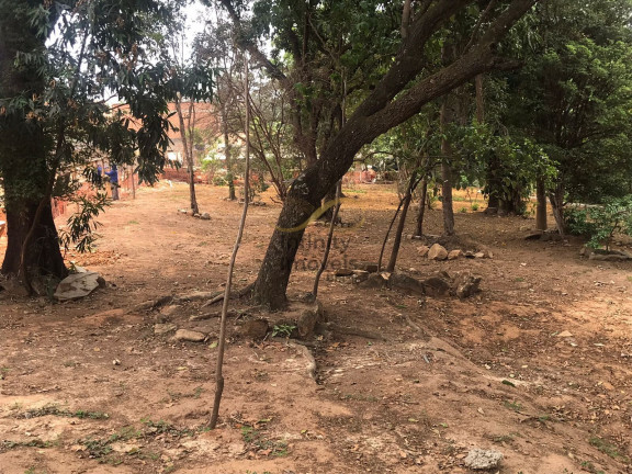 Imagem Cobertura com 2 Quartos à Venda, 67 m² em Carlos Prates - Belo Horizonte