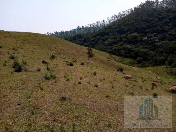 Imagem Chácara com 2 Quartos à Venda, 14.000 m² em Centro - Igaratá