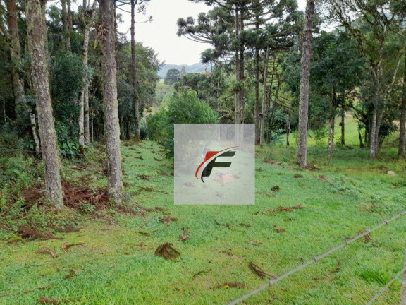 Imagem Chácara com 3 Quartos à Venda, 20.000 m² em Colônia Malhada - São José Dos Pinhais Imagem Chácara com 3 Quartos à Venda, 20.000 m² em Colônia Malhada - São José Dos Pinhais