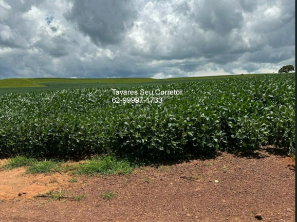 Imagem Imóvel à Venda,  em Setor Central - Anápolis