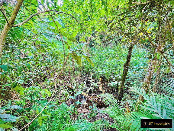Imagem Chácara com 2 Quartos à Venda, 78.000 m² em Serra Da Cantareira - Mairiporã Imagem Chácara com 2 Quartos à Venda, 78.000 m² em Serra Da Cantareira - Mairiporã