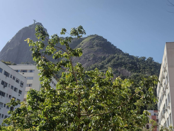 Imagem Apartamento com 2 Quartos à Venda, 97 m² em Humaitá - Rio De Janeiro Imagem Apartamento com 2 Quartos à Venda, 97 m² em Humaitá - Rio De Janeiro