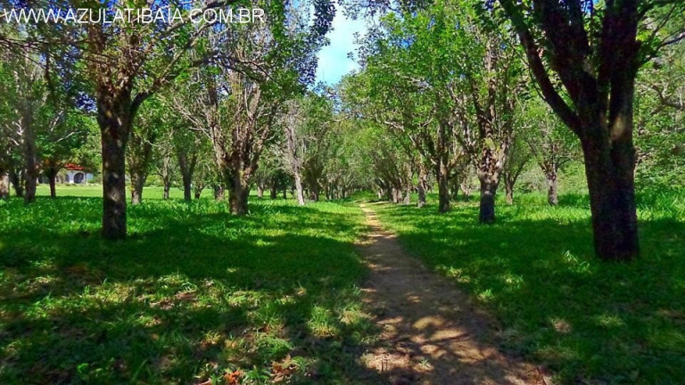 Imagem Imóvel com 3 Quartos à Venda, 500 m² em Jardim Maracanã - Atibaia Imagem Imóvel com 3 Quartos à Venda, 500 m² em Jardim Maracanã - Atibaia