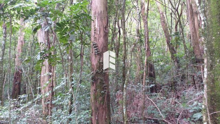 Imagem Imóvel à Venda, 28.000 m² em Campestre Do Menino Deus - Santa Maria Imagem Imóvel à Venda, 28.000 m² em Campestre Do Menino Deus - Santa Maria