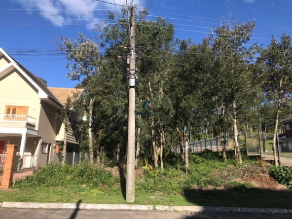 Imagem Terreno à Venda, 825 m² em Vale Das Colinas - Gramado Imagem Terreno à Venda, 825 m² em Vale Das Colinas - Gramado