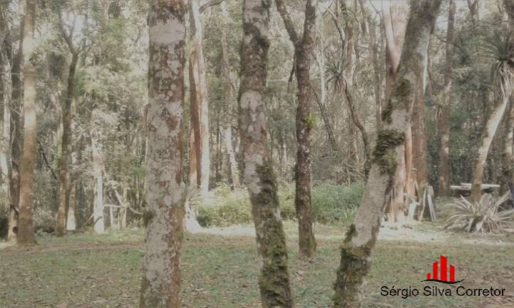 Imagem Chácara com 4 Quartos à Venda, 45.000 m² em Lageado - Santo Antônio Do Pinhal Imagem Chácara com 4 Quartos à Venda, 45.000 m² em Lageado - Santo Antônio Do Pinhal