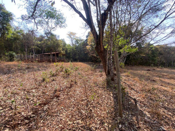 Imagem Terreno à Venda, 54 m² em Centro - Itatiaiuçu Imagem Terreno à Venda, 54 m² em Centro - Itatiaiuçu