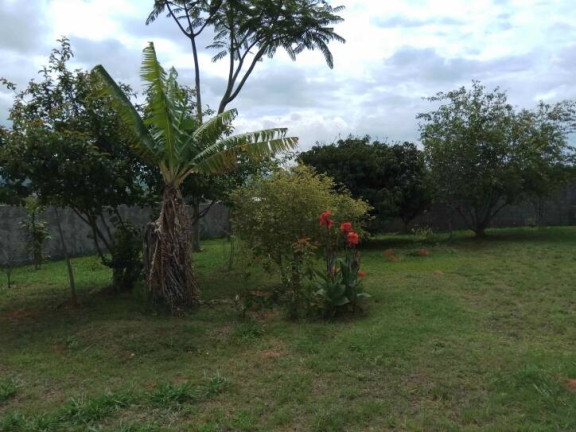 Imagem Chácara com 4 Quartos à Venda, 1.830 m² em Distrito Do Porto Capela Do Alto - Capela Do Alto