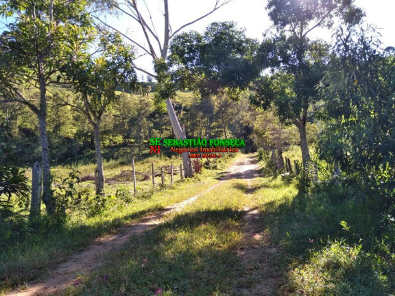 Imagem Chácara com 2 Quartos à Venda, 25.000 m² em Sob Consulta - Virgínia Imagem Chácara com 2 Quartos à Venda, 25.000 m² em Sob Consulta - Virgínia
