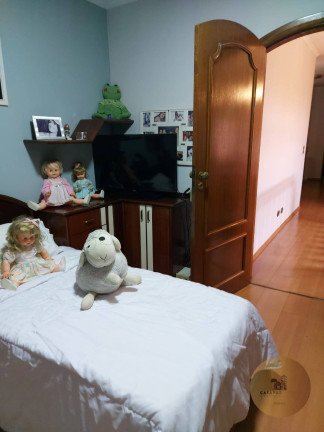Imagem Sobrado com 10 Quartos à Venda, 200 m² em São João Climaco - São Paulo Imagem Sobrado com 10 Quartos à Venda, 200 m² em São João Climaco - São Paulo