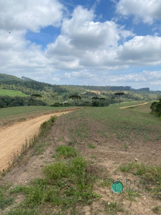 Imagem Imóvel à Venda, 1.600.000 m² em Zona Rural - Vidal Ramos Imagem Imóvel à Venda, 1.600.000 m² em Zona Rural - Vidal Ramos