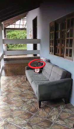 Imagem Casa com 3 Quartos à Venda, 380 m² em Horto Florestal - Ubatuba Imagem Casa com 3 Quartos à Venda, 380 m² em Horto Florestal - Ubatuba