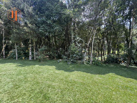 Imagem Imóvel com 2 Quartos à Venda, 6.000 m² em Loteamento Chácara Chantecler - Piraquara