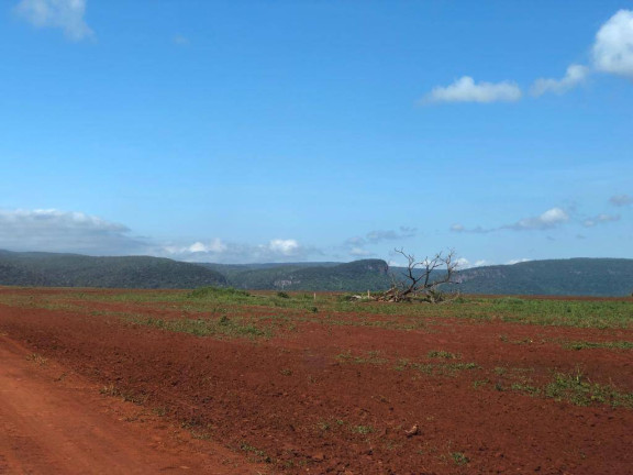 Imagem Fazenda à Venda, 15.000 m² em Mato Grosso Imagem Fazenda à Venda, 15.000 m² em Mato Grosso